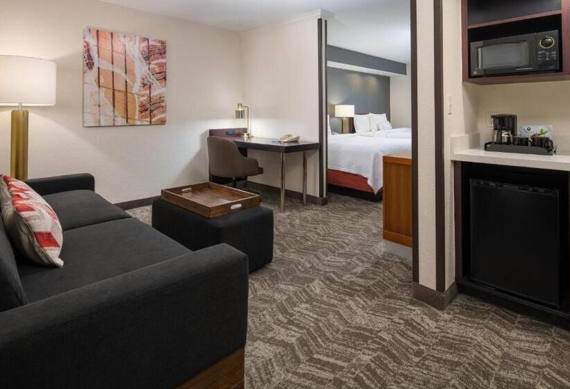 هتل Springhill Suites Portland Airport
