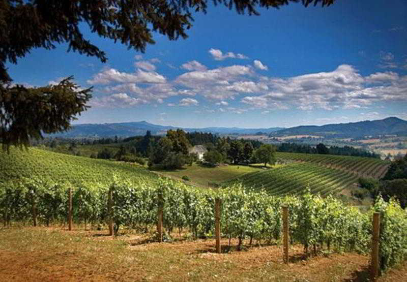 فندق Springhill Suites By Marriott Portland Hillsboro