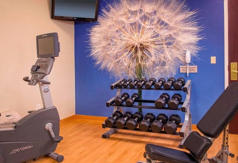 酒店 Springhill Suites Raleighdurham Airport/research Triangle Park