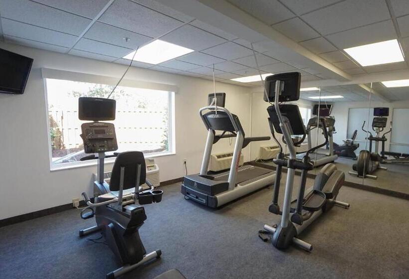 酒店 Springhill Suites By Marriott Savannah Midtown