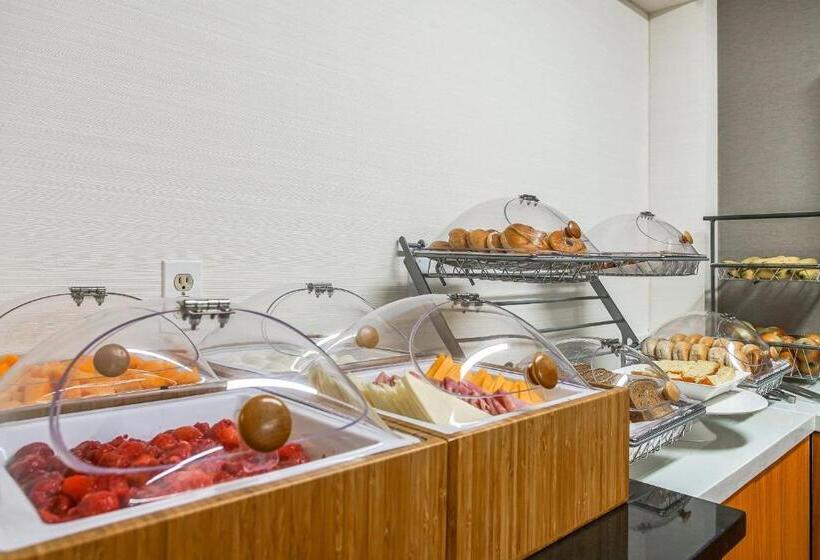 酒店 Springhill Suites By Marriott Savannah Midtown