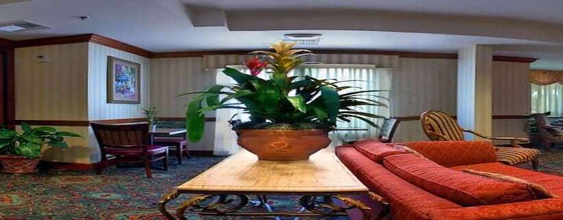 酒店 Springhill Suites By Marriott Tampa Westshore