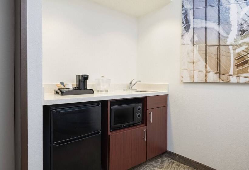 酒店 Springhill Suites By Marriott Williamsburg