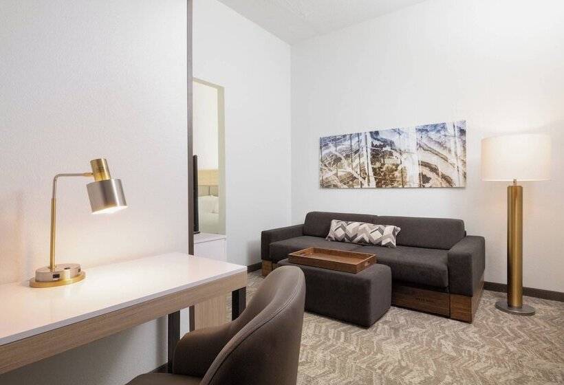 酒店 Springhill Suites By Marriott Williamsburg