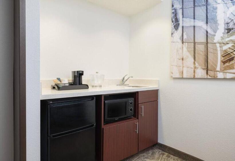 酒店 Springhill Suites By Marriott Williamsburg