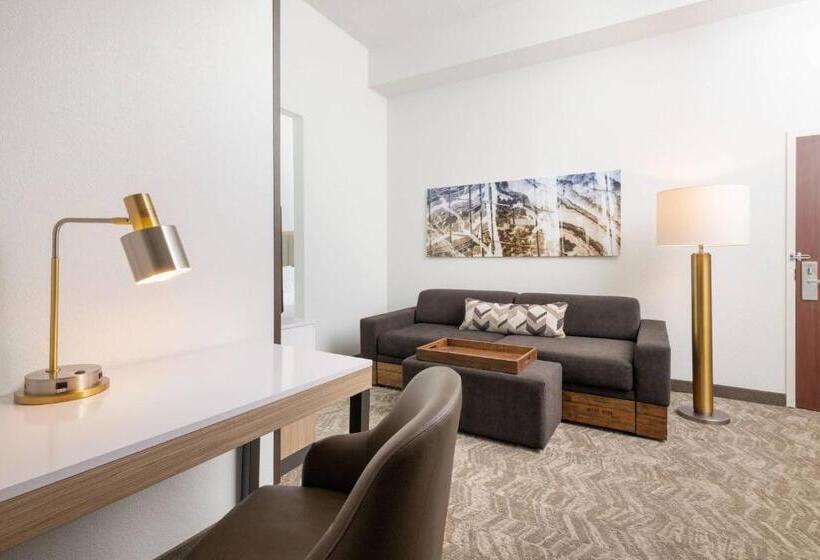 هتل Springhill Suites By Marriott Williamsburg