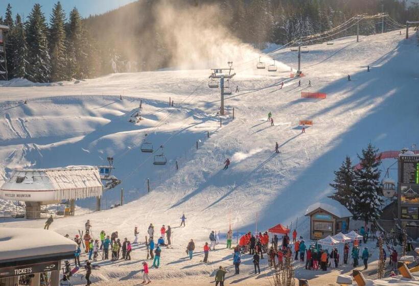 בית מלון כפרי Sundial