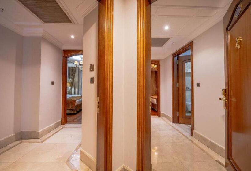 هتل The Central Palace Taksim