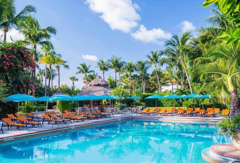 The Palms Hotel & Spa