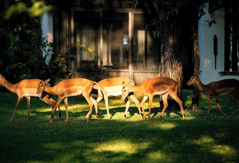 Royal Livingstone Hotel By Anantara