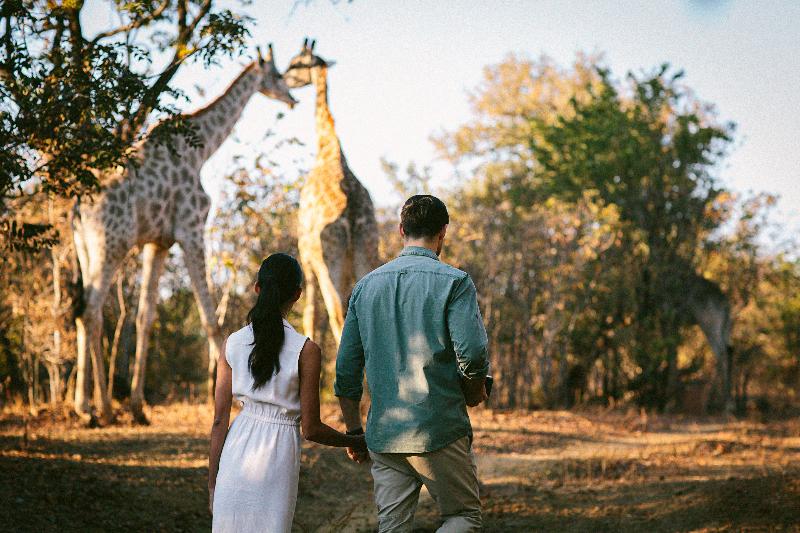 Royal Livingstone Hotel By Anantara