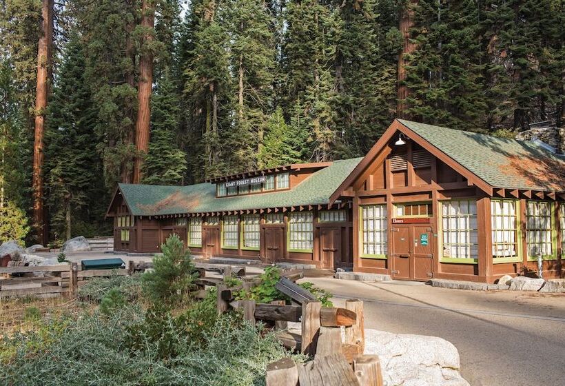 בית מלון כפרי Wuksachi Lodge