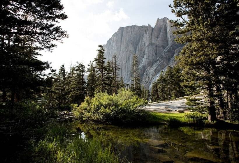 בית מלון כפרי Wuksachi Lodge