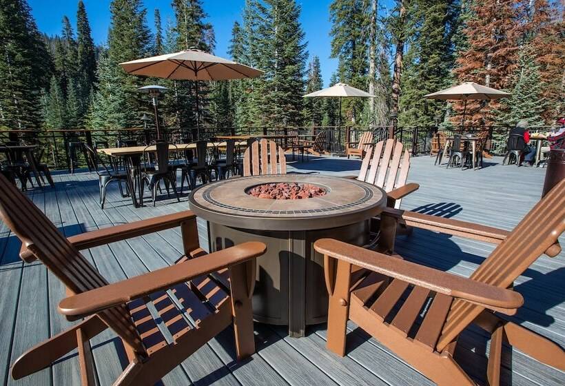 בית מלון כפרי Wuksachi Lodge