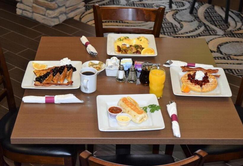 בית מלון כפרי Wyndham Garden Madison Fitchburg