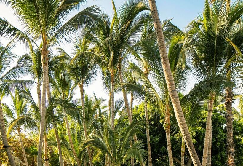 אתר נופש One&only Palmilla