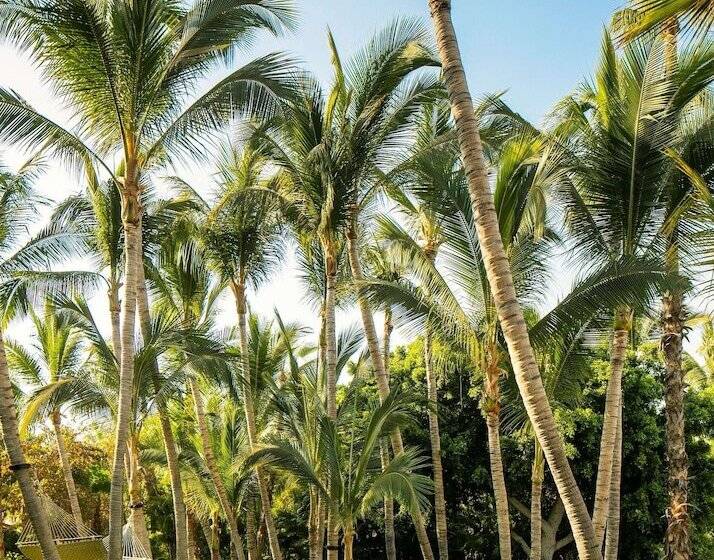 אתר נופש One&only Palmilla