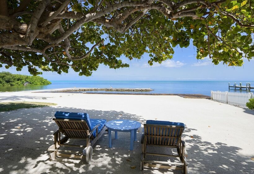 Pines & Palms Resort