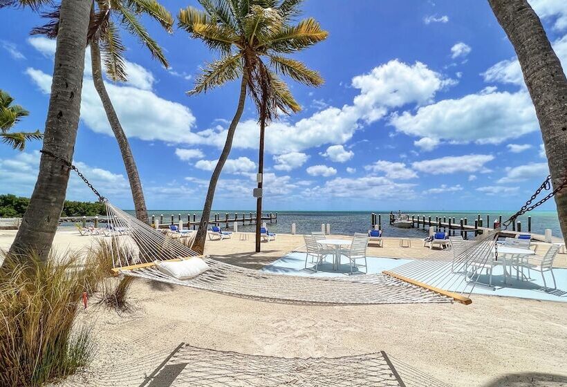 Pines & Palms Resort