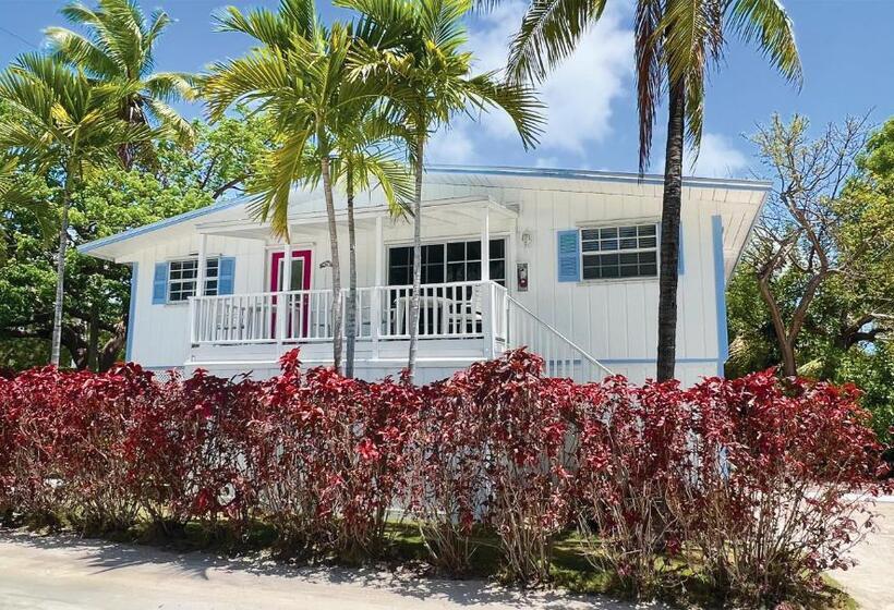 Pines & Palms Resort