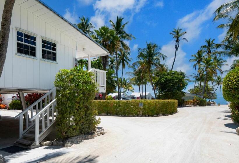 Pines & Palms Resort