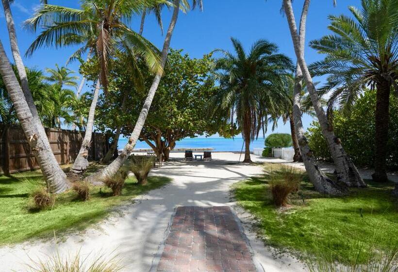 Pines & Palms Resort