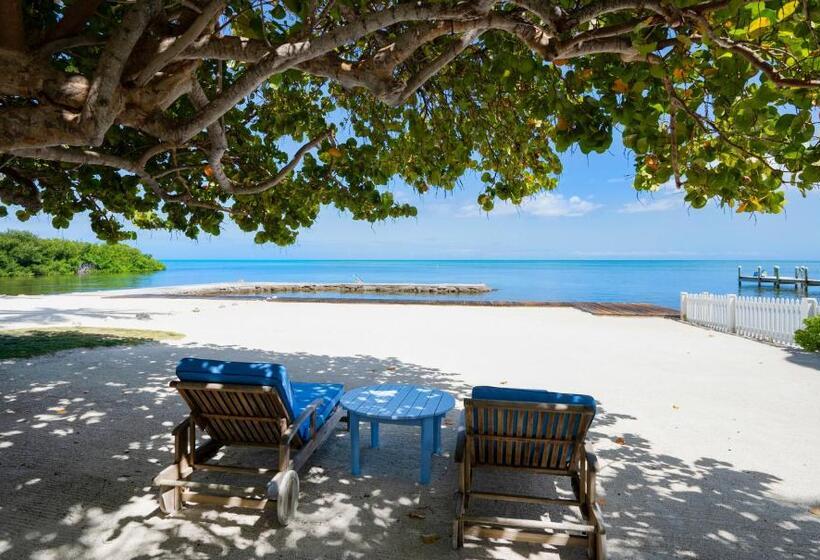 Pines & Palms Resort