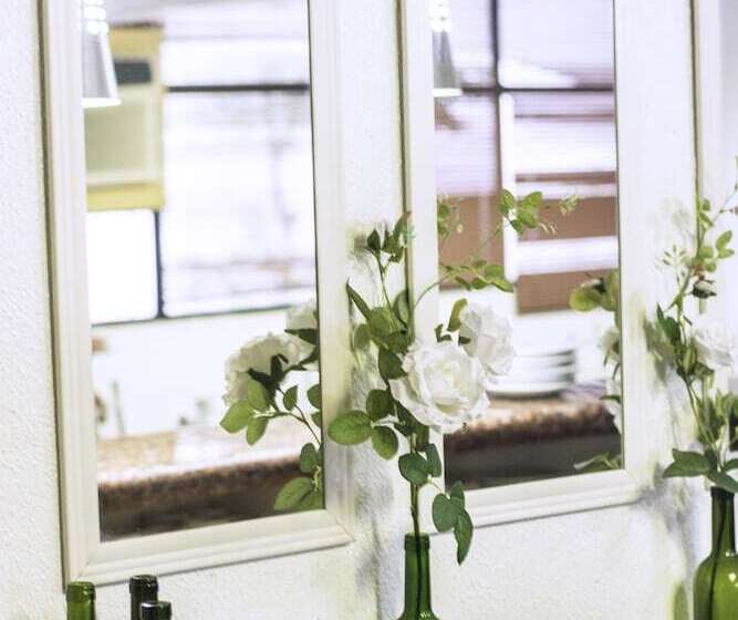 住所  Rede Andrade Coimbra