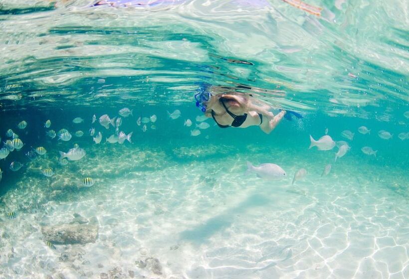 Wyndham Reef Resort, Grand Cayman