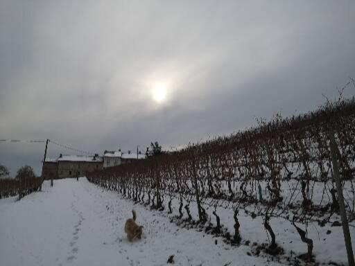 旅馆 Locanda Fontanazza Osteria Con Camere