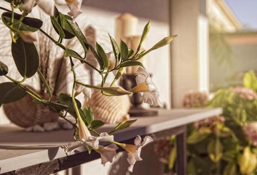 צימר Affittacamere Villa Masá