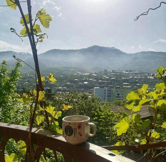 ベッドアンドブレックファースト Elegaya Guest House