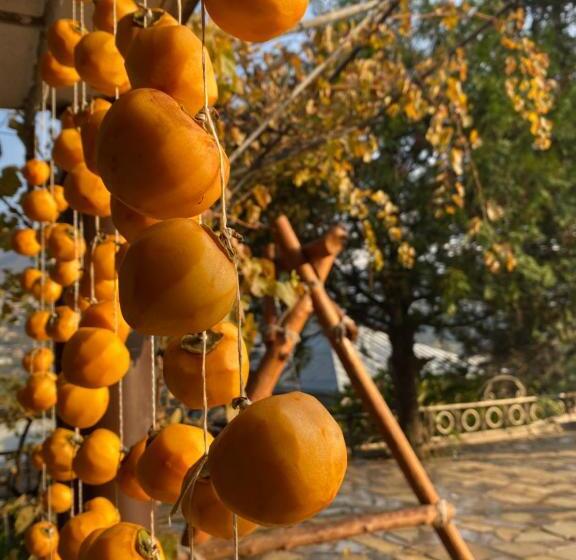 ベッドアンドブレックファースト Elegaya Guest House