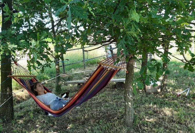 Bed and Breakfast La Diligenza