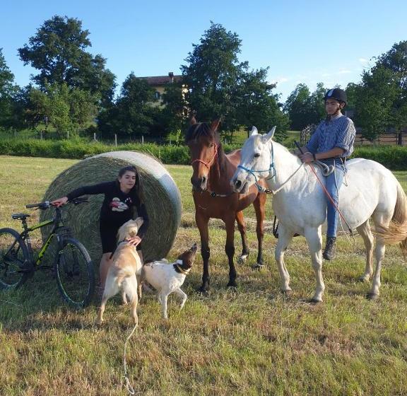 Bed and Breakfast La Diligenza