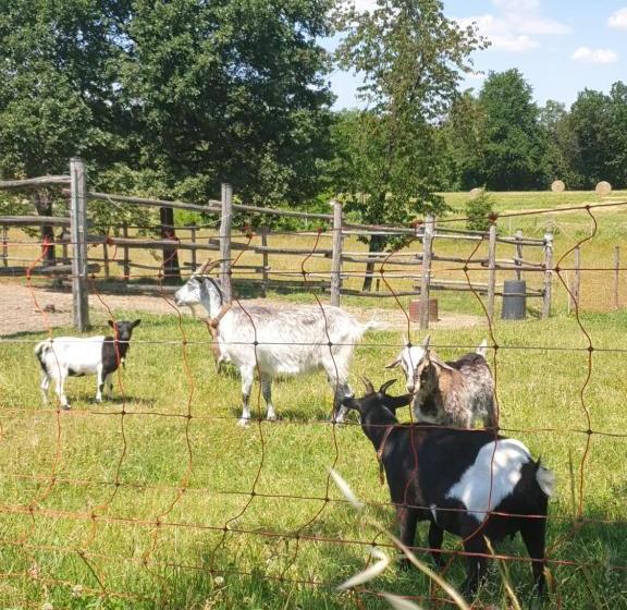 Bed and Breakfast La Diligenza