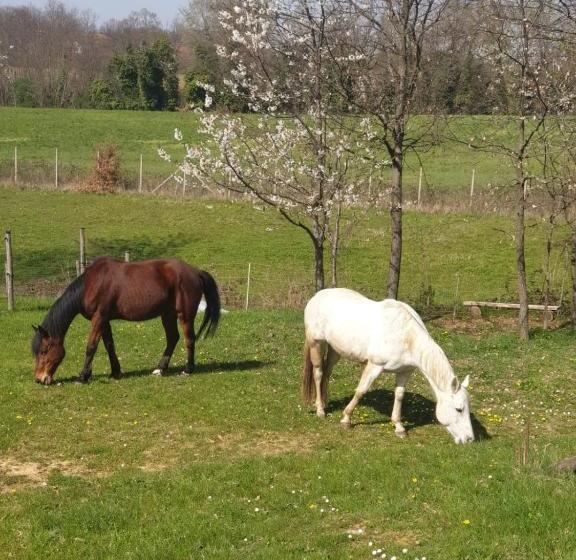 Bed and Breakfast La Diligenza