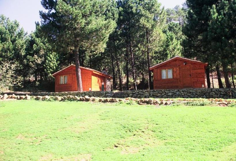 Cabañas La Toma Del Agua
