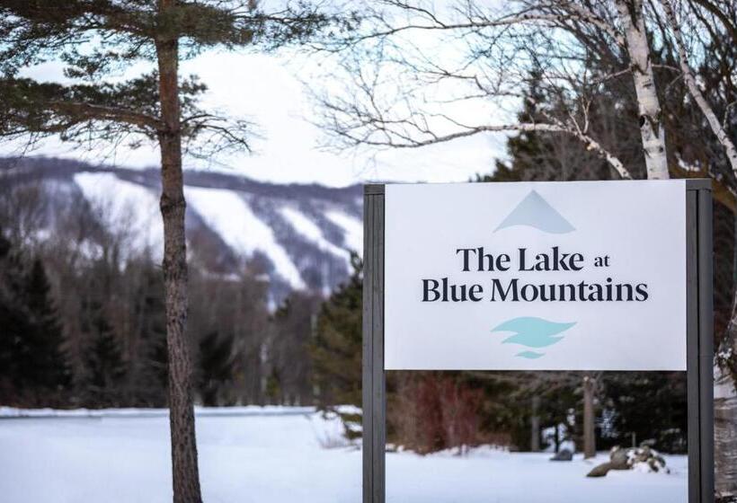 فندق Boutique Suite #7