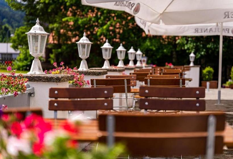 Отель Casa Maria