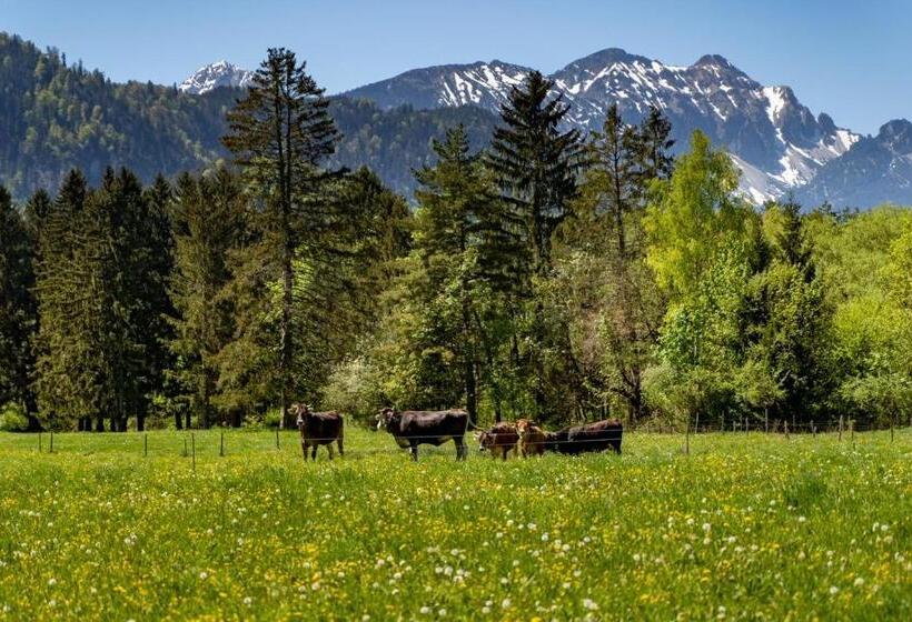 Отель Casa Maria