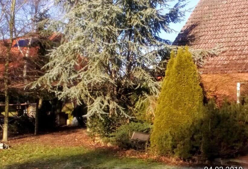 בית מלון כפרי Leppiner Hof   B&b Frühstückspension