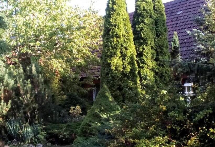 בית מלון כפרי Leppiner Hof   B&b Frühstückspension