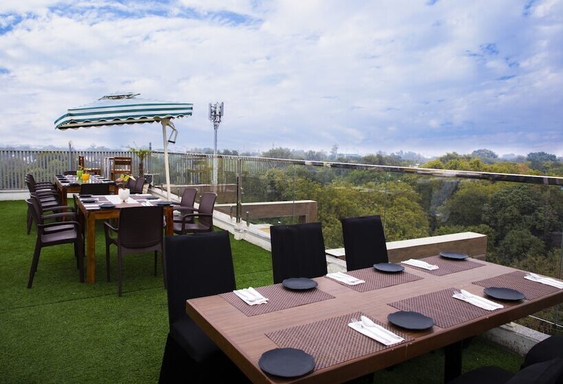 Отель The Moziac