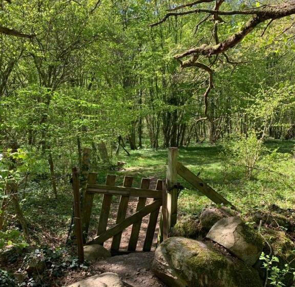 פנסיון 4hearts B&b