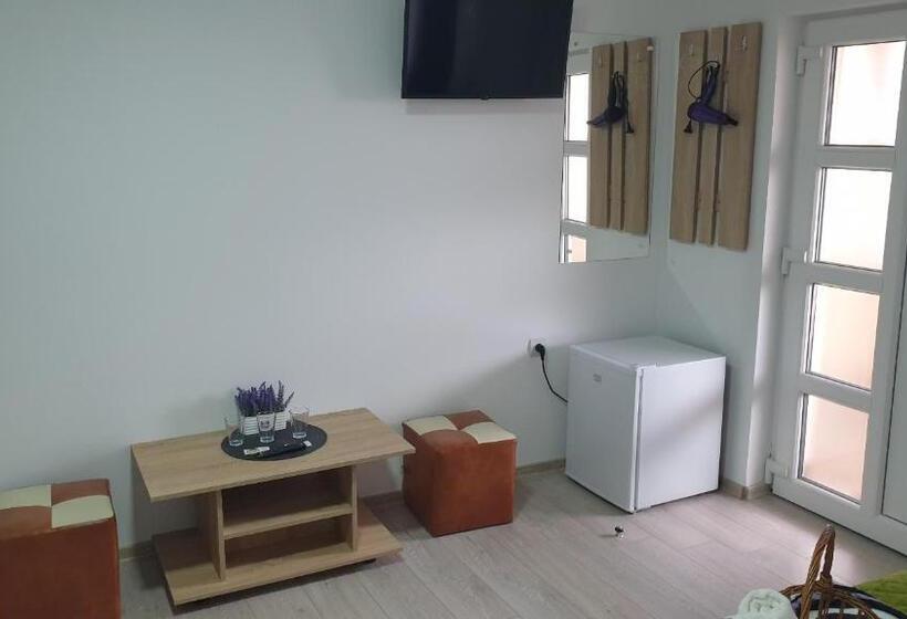 Пансион Casa Corina