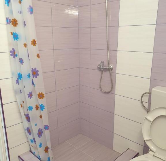 Пансион Casa Corina