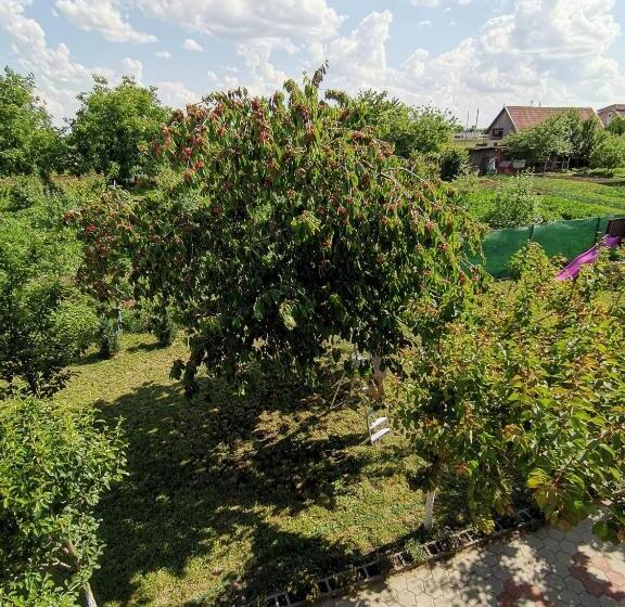 Пансион Casa Corina