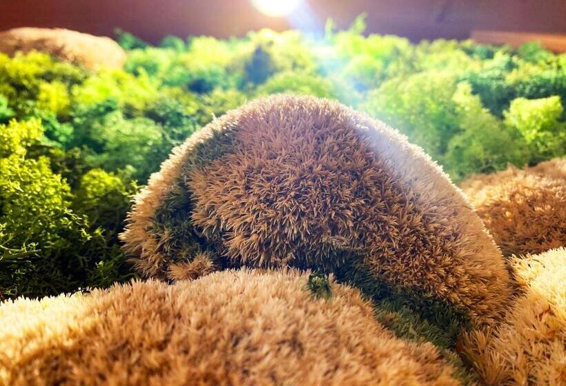 펜션 Landgasthof Kanz