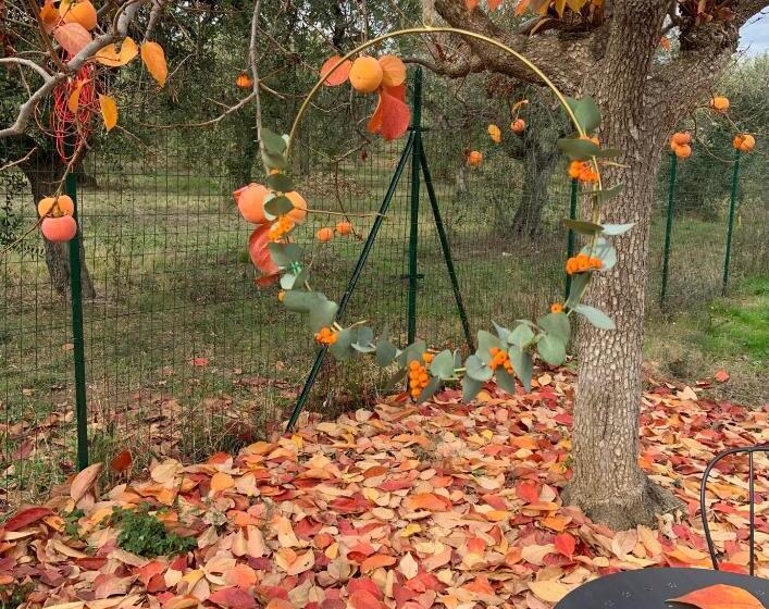 אתר נופש Controvento